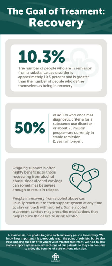 recovery support services infographic